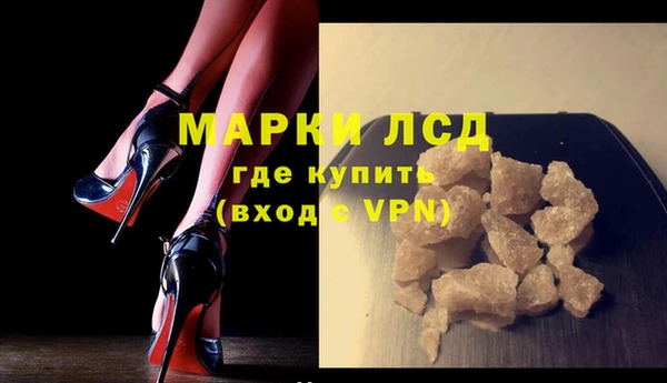 трава Магас