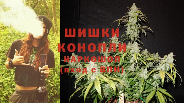 тгк Белокуриха