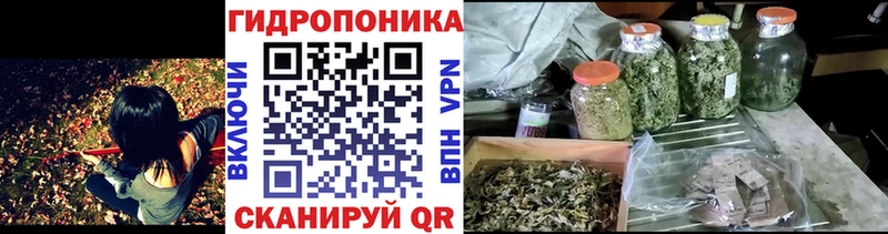 Каннабис AK-47  купить наркотики сайты  Бикин 